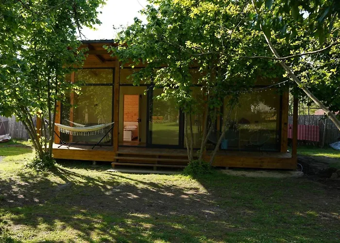 Dumbo Eco Camp