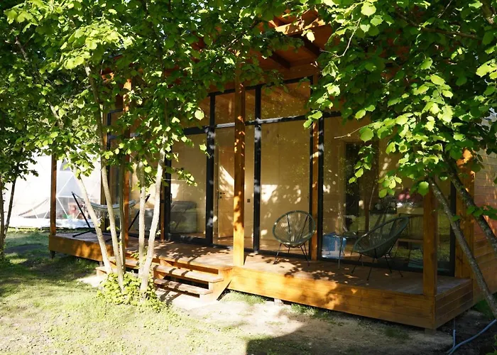 Dumbo Eco Camp