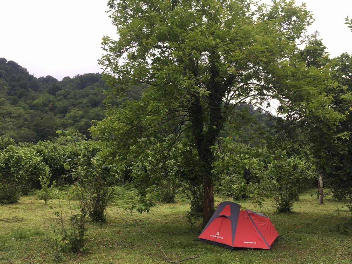 Camping Dumbo Eco Camp Ozurget'i