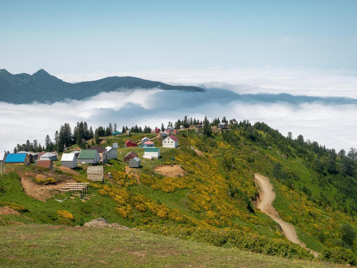 Dumbo Eco Camp Camping