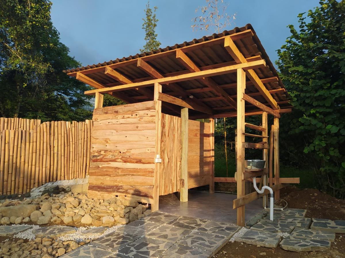 Dumbo Eco Camp