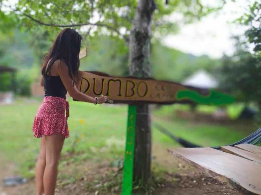Dumbo Eco Camp Camping *