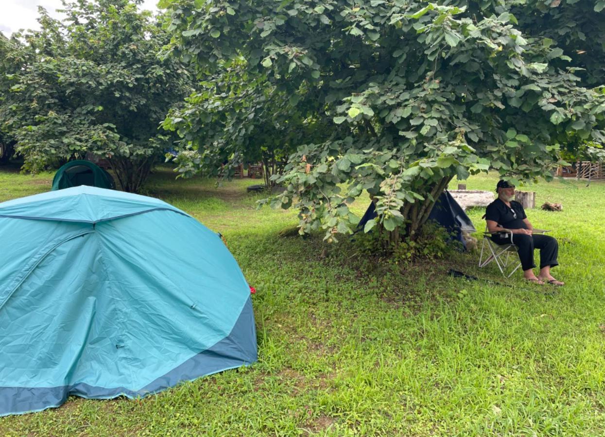 Camping Dumbo Eco Camp