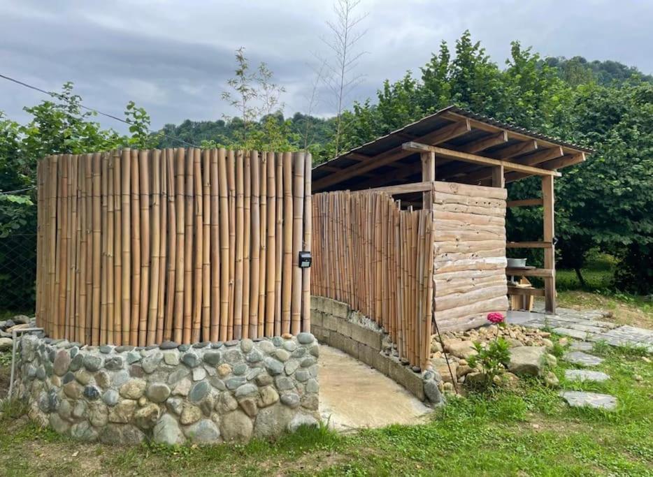 Camping Dumbo Eco Camp