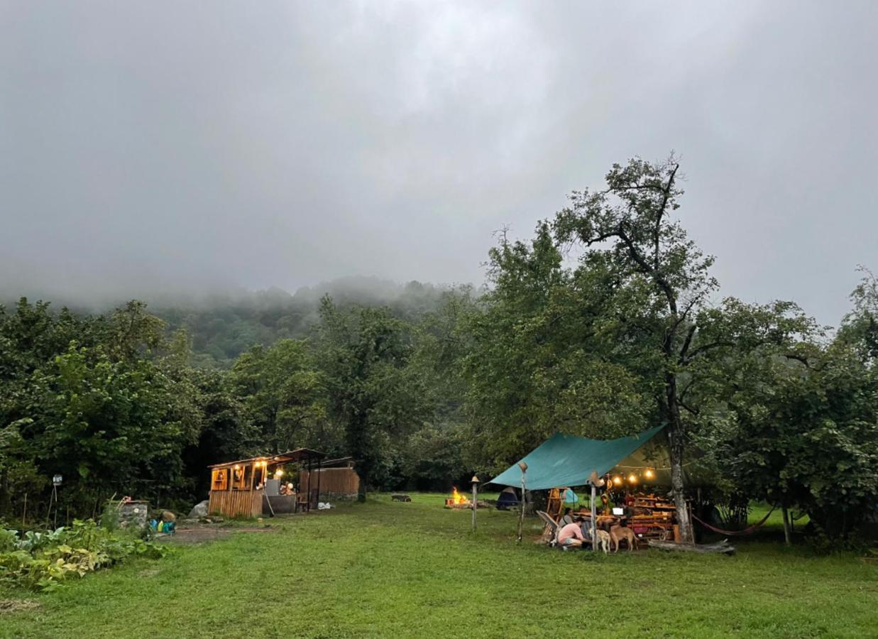 Dumbo Eco Camp