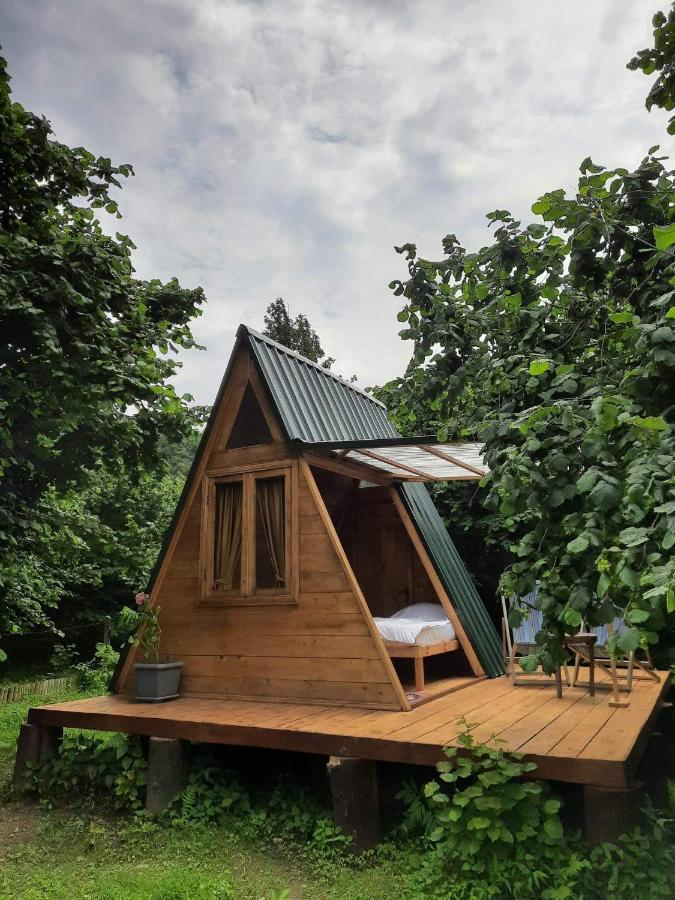 Dumbo Eco Camp