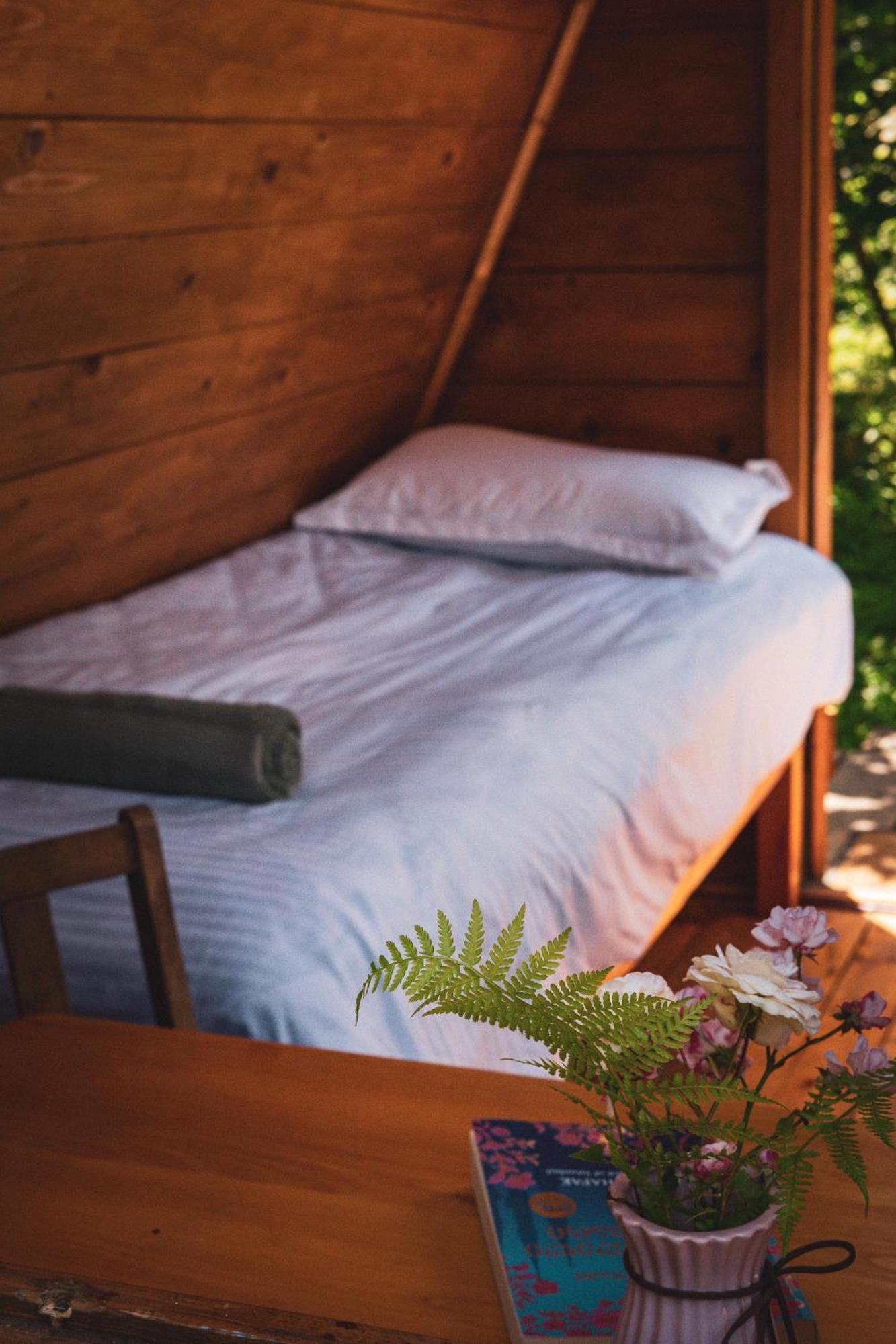 Dumbo Eco Camp Ozurget'i